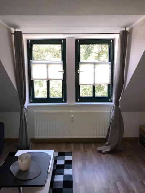 Gaestewohnung Saaleblick Weißenfels Екстериор снимка